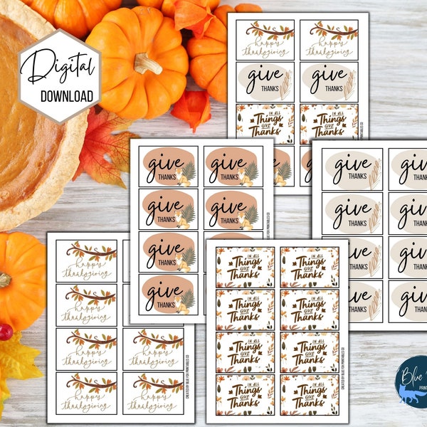 Thanksgiving Place Card Holder Variety Pack, table setting decor for thanksgiving, digital download thanksgiving, print and cut cards