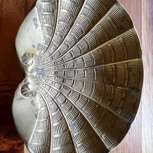 May include: A vintage brass seashell-shaped dish with a detailed, textured fan pattern. The dish has a slightly tarnished, aged appearance, and is set against a wooden surface. The design features radiating lines and curved segments.