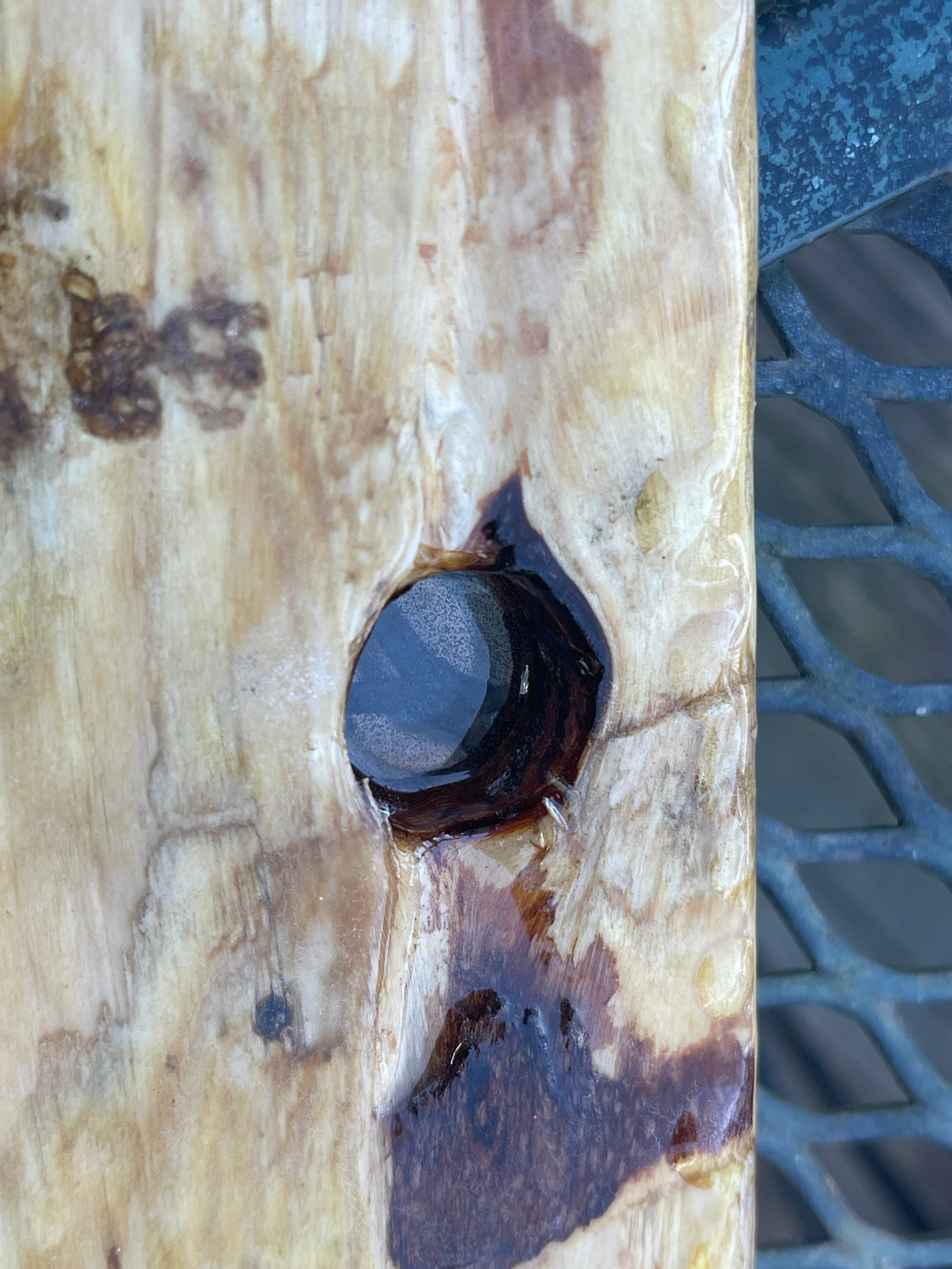 Fractal Wood Burn With Epoxy Resin Color and Coating Etsy