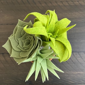 Potted Felt Succulent Arrangement - Small terracotta