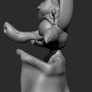May include: A 3D printed model of a cartoon coyote with a large, pointed nose and ears. The model is painted in shades of gray and has a textured surface.
