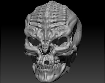 Alien Skull #4