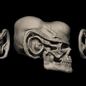 Alien Skull #3