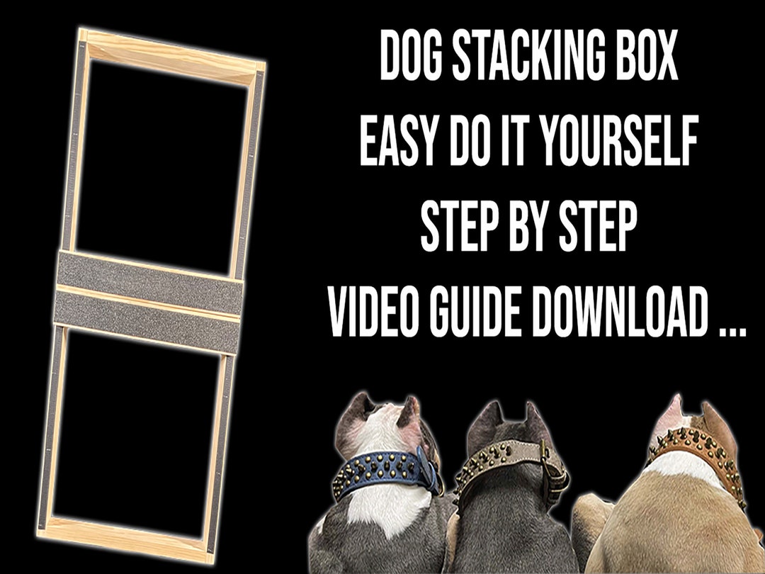 Dog Stacking Box Easy Do It Yourself Step by Step Video File and Pdf