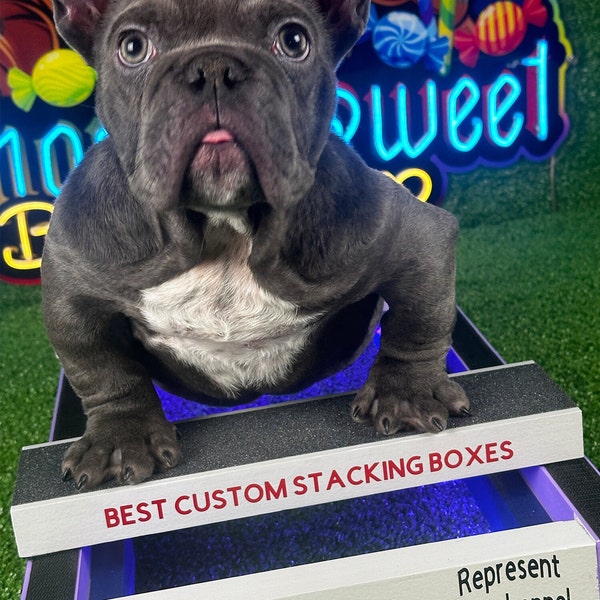 Show Dog Stacking Box Etsy