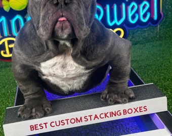 Train to be best interactive dog stacking Box " Custom Outstanding Quality" Extra Small to Large "Customized" and everyday Free Shipping