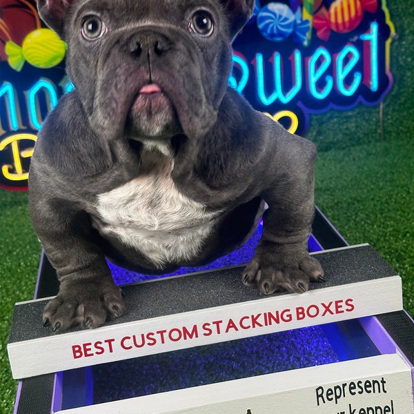 Train to be best interactive dog stacking Box " Custom Outstanding Quality" Extra Small to Large "Customized" and everyday Free Shipping