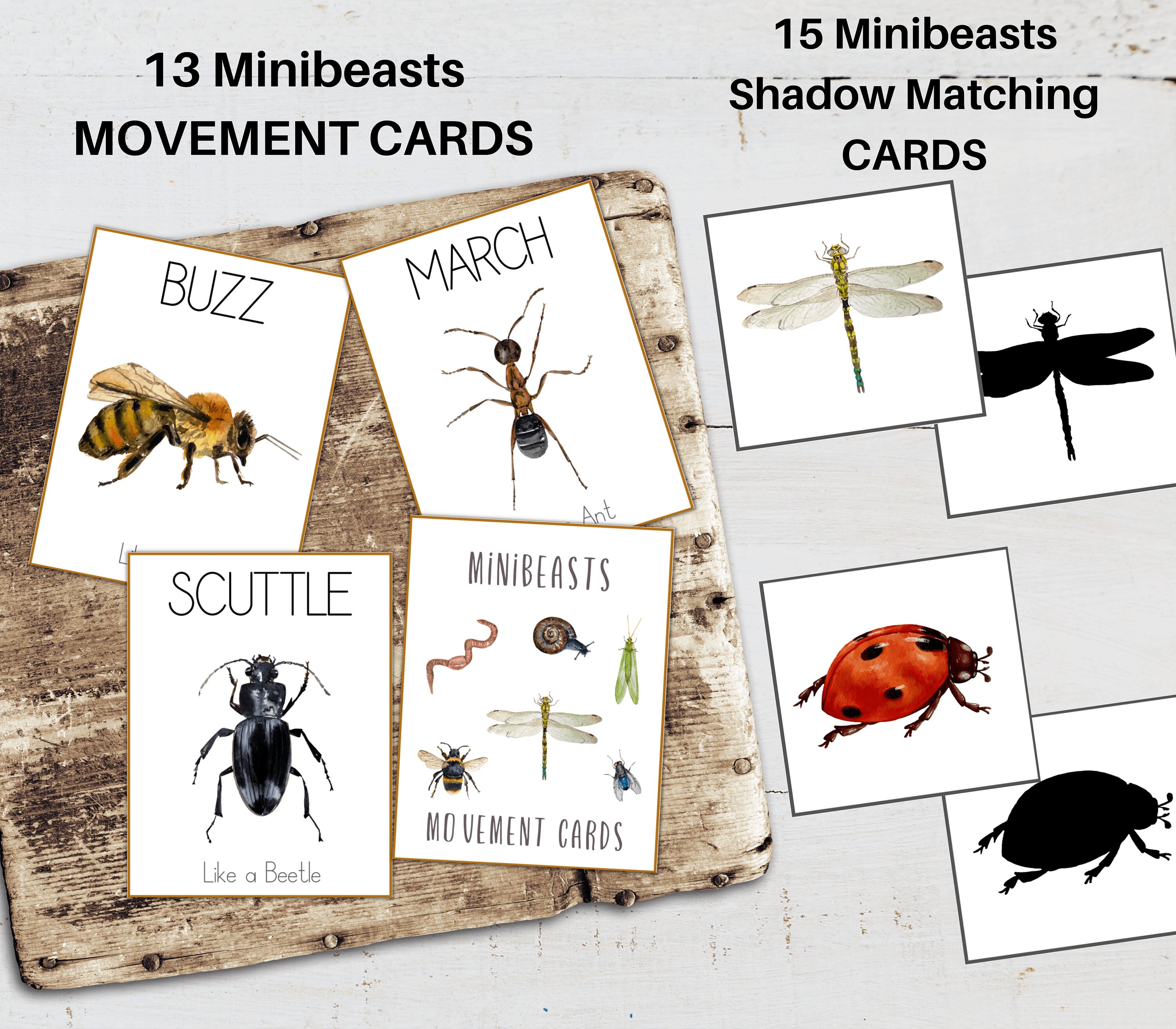 MINIBEASTS Pre-k and K Activity Pack, Homeschool, Digital, Instant ...