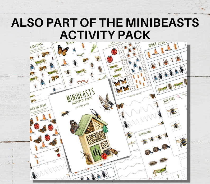 MINIBEASTS MOVEMENT CARDS, Calm Down Activity, Kids Movement, Montessori Flashcards, Fitness for Kids, homeschool printable image 3