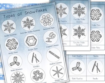 SNWFLAKE TYPES Mini Poster + 3-Part Cards, Homeschool, Montessori, Instant Download