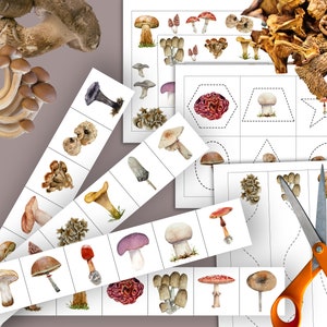 Könnte beinhalten: Ein Satz druckbarer Arbeitsblätter zum Thema Pilze für Kinder. Die Arbeitsblätter beinhalten verschiedene Aktivitäten wie Zuordnen, Zählen und Ausmalen. Die Arbeitsblätter sind perfekt für Kinder im Vorschul- und Kindergartenalter.