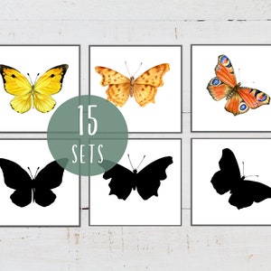 Correspondência de sombras BUTTERFLY, correspondência de silhuetas, Montessori em casa, recurso para impressão do ensino doméstico, DOWNLOAD instantâneo