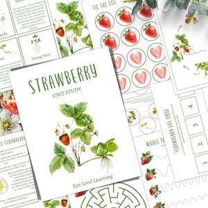 STRAWBERRY Unit Study, Life Cycle, Anatomy, Nature Study, Science, Homeschool, Montessori, INSTANT DOWNLOAD