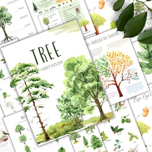 TREE Unit Study, Life Cycle, Anatomy, Nature Study, Science, Homeschool, Montessori, INSTANT DOWNLOAD