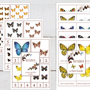 K&ouml;nnte beinhalten: Ein Satz Schmetterlings-Lernspielkarten f&uuml;r Kinder. Die Karten zeigen farbenfrohe Illustrationen von Schmetterlingen und Zahlen zum Z&auml;hlen und Zuordnen. Die Karten sind mit "Schmetterling 3-Teile-Karten" beschriftet und beinhalten die Namen "Silber-Fuchs" und "Kalifornischer Dogface-Schmetterling".