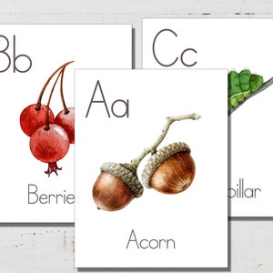 Alphabet Posters, Large Format for Classroom Use