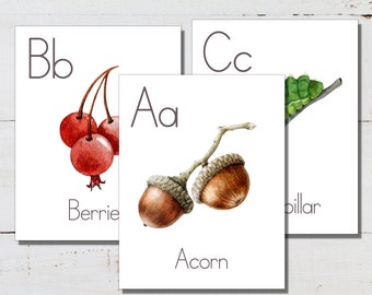 Alphabet Posters, Large Format for Classroom Use - Etsy