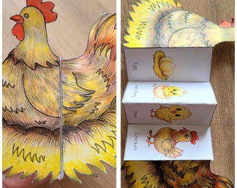 Life Cycle of a Chicken Foldable Kids' Spring Craft Activity | A4 and ...