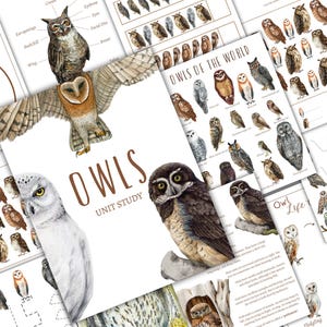 May include: A printable owl unit study with illustrations of different owl species. The study includes an owl anatomy diagram, a world map with owl locations, and a page about owl life. The text includes the words "Owls Unit Study" and "Owls of the World".