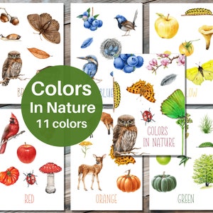 FARBEN in der Natur Lernkarten, Farbe Lernkarten, Wortschatz, Montessori, Farben, lehrreich, PDF Datei, Sofort Download