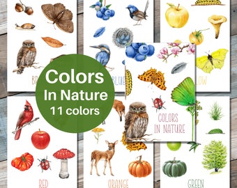 COLORS in Nature Flashcards, Color Flashcards, Vocabulary, Montessori, Colors, Educational, PDF File, Instant Download