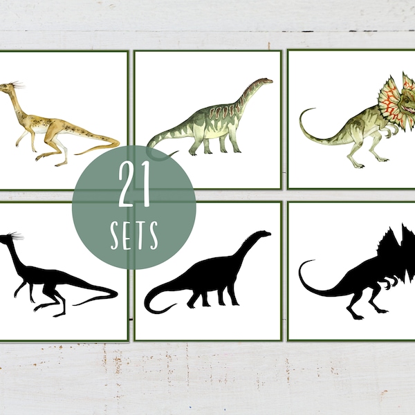 DINOSAUR Shadow Matching, Silhouette Matching, Montessori at Home, Homeschool Printable Resource, Instant DOWNLOAD