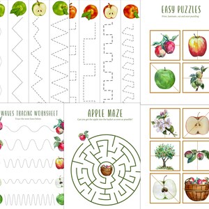 APPLE Unit Study, Life Cycle, Anatomy, Nature Study, Science, Homeschool, Montessori, INSTANT DOWNLOAD image 7