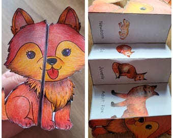 Fox Life Cycle Foldable Template, Kids' science craft, A4 and 11x8.5 in, Digital Download, Cut and paste, Foldable Template