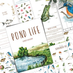 POND LIFE Unit Study, Life Cycle, Anatomy, Nature Study, Science, Homeschool, Montessori, Instant DOWNLOAD