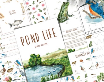 POND LIFE Unit Study, Life Cycle, Anatomy, Nature Study, Science, Homeschool, Montessori, Instant DOWNLOAD