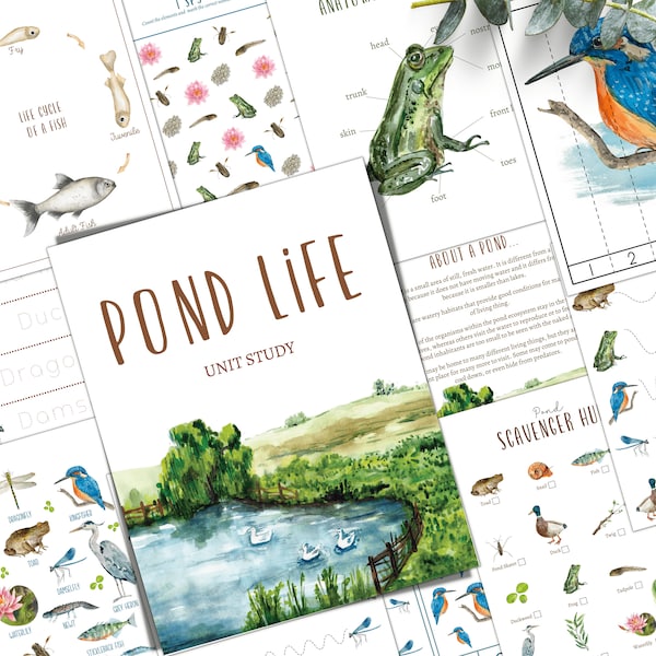 POND LIFE Unit Study, Life Cycle, Anatomy, Nature Study, Science, Homeschool, Montessori, Instant DOWNLOAD