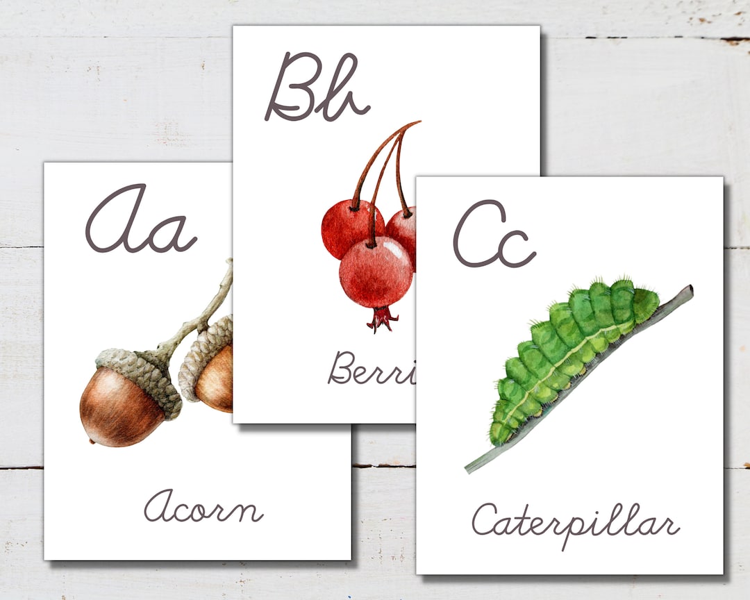 Alphabet Posters, Large Format for Classroom Use - Etsy