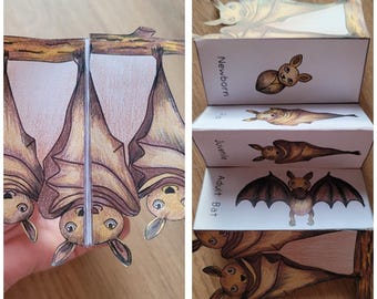 Bat Life Cycle Foldable Template, Kids' science craft, A4 and 11x8.5 in, Digital Download, Cut and paste, Foldable Template