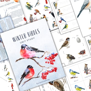 Estudio de unidad WINTER BIRDS, Ciclo de vida, Anatomía, Estudio de la naturaleza, Ciencia, Educación en el hogar, Montessori, DESCARGA instantánea