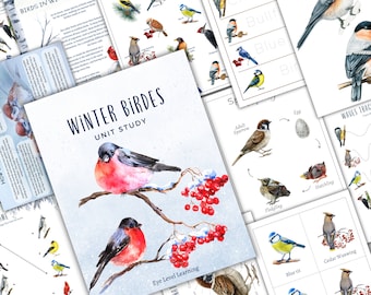 WINTERVOGELS Eenheidsstudie, levenscyclus, anatomie, natuurstudie, wetenschap, thuisonderwijs, montessori, Instant DOWNLOAD