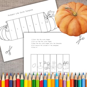May include: A vibrant orange pumpkin rests beside a printed template illustrating the pumpkin life cycle. The template includes stages from seed to pumpkin, with instructions for coloring and assembly. Colored pencils are arranged at the bottom.