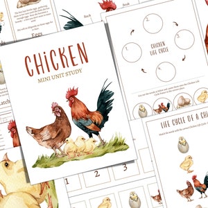 HUHN Mini Einheitsstudie, Lebenszyklus, Anatomie, Naturstudie, Wissenschaft, Homeschool, Montessori, SOFORTIGER DOWNLOAD