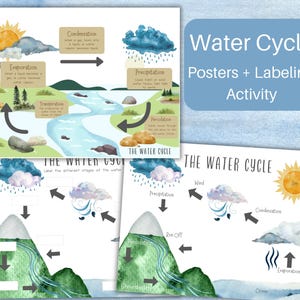 Carteles del ciclo del agua + Actividad de etiquetado, DESCARGA INSTANTÁNEA, DIGITAL