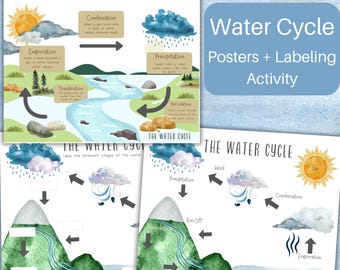 Water Cycle posters + Labeling Activity, INSTANT DOWNLOAD, DIGITAL