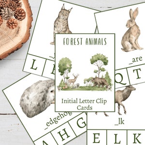 BOS dieren beginletter clipkaarten, 12 kaarten, activiteit voor kinderen, direct downloaden