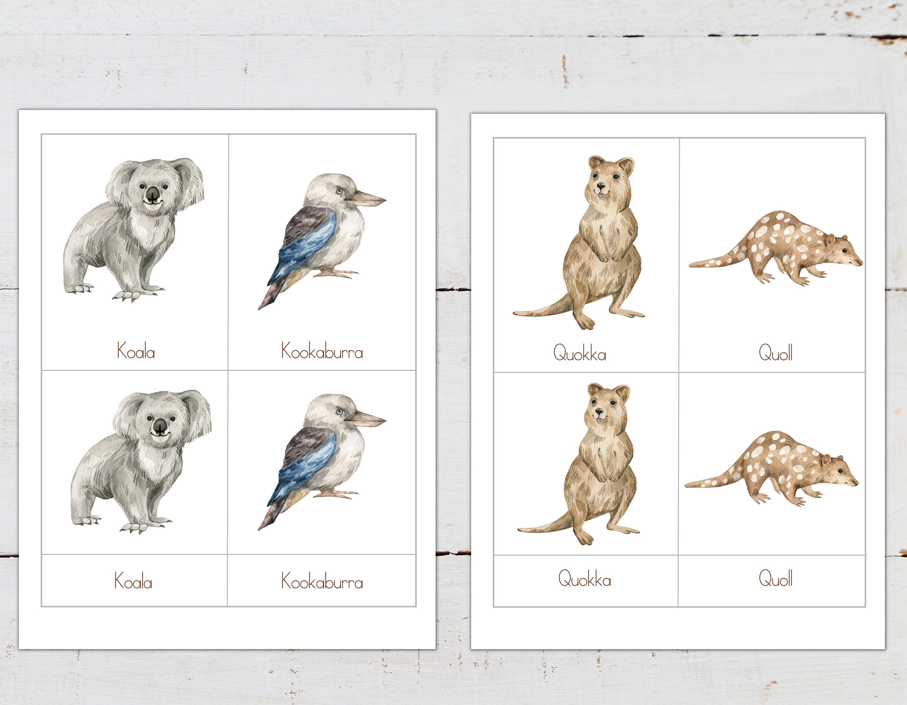AUSTRALIAN ANIMALS Mini Poster + 3-part Cards, Homeschool, Montessori ...