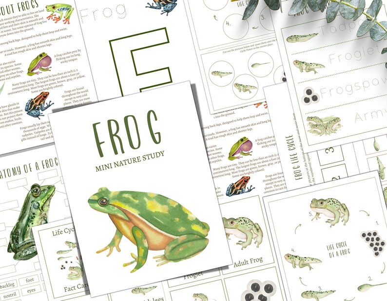 SPRING Themed Nature Study Units BUNDLE, Birds, Frogs, Barn Swallow ...
