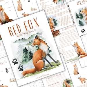RED FOX mini-eenheidsstudie, levenscyclus, anatomie, natuurstudie, wetenschap, thuisonderwijs, montessori, Instant DOWNLOAD