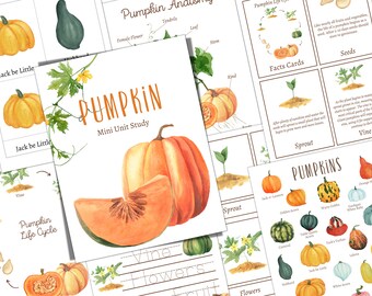 PUMPKIN Mini Unidad de Estudio, Ciclo de Vida, Anatomía, Estudio de la Naturaleza, Ciencia, Educación en el Hogar, Montessori, DESCARGA INSTANTÁNEA