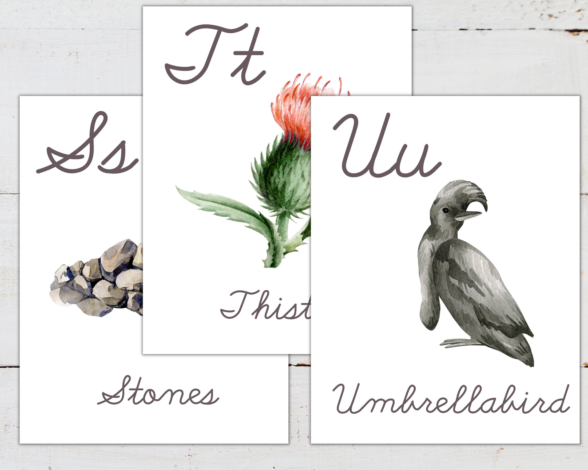 Alphabet Posters, Large Format for Classroom Use - Etsy
