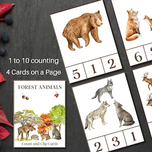 ANIMALES DEL BOSQUE Tarjetas de conteo y clip, Conteo del 1 al 10, Tema de animales del bosque, Actividades de conteo para niños, Descarga INSTANTÁNEA