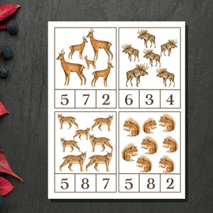 FOREST ANIMALS Count and Clip Cards, 1 to 10 Counting, Forest Animals ...