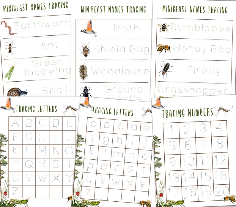 MINIBEASTS Pre-k and K Activity Pack, Homeschool, Digital, Instant ...