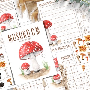 PADDESTOEL eenheid studie, levenscyclus, anatomie, natuurstudie, wetenschap, thuisschool, Montessori, INSTANT DOWNLOAD