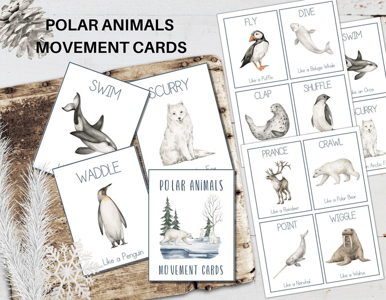 K&ouml;nnte beinhalten: Lernkarten mit Polartieren und Bewegungsabl&auml;ufen. Die Karten zeigen Illustrationen von Tieren wie Pinguinen, Eisb&auml;ren und Orcas, mit Aktionsw&ouml;rtern wie "schwimmen", "huschen" und "watscheln". Der Text "Polar Animals Movement Cards" steht oben.